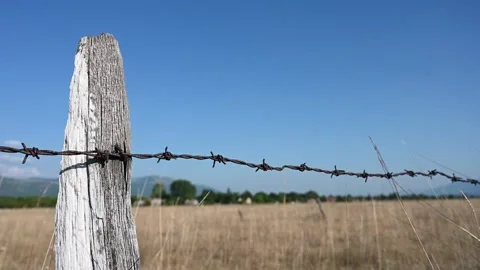 Barbed wire against blue sky. Rusty metal wire fence Stock Footage 281004827