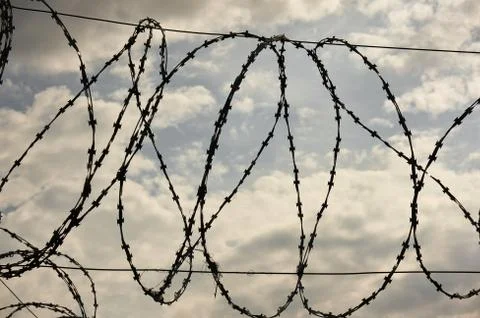 Barbed wire against a dramatic gray sky. Stock Photos