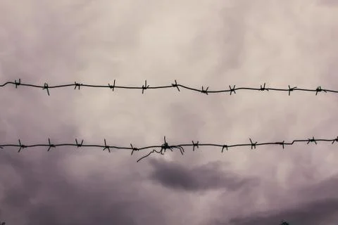 A barbed wire against the gray sky on a gloomy summer day. Stock Photos