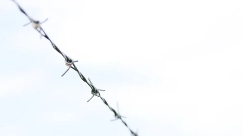 Barbed wire against a light background. Closed area. Macro shot. Pull focus. Video stock 162234119