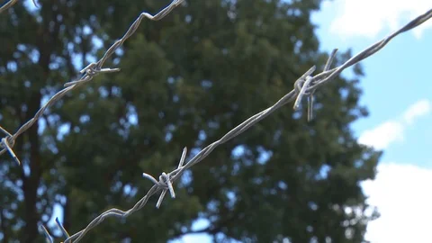 Barbed wire against the sky. Barbed wire and sky focus. Video stock 121835725