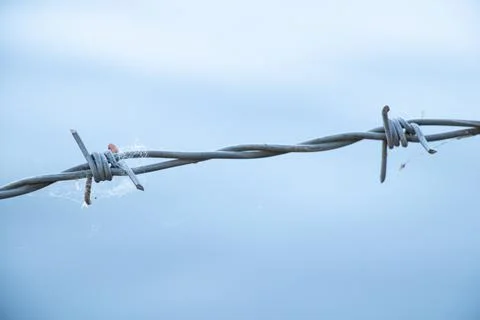 Barbed wire against the sky close-up Stock Photos