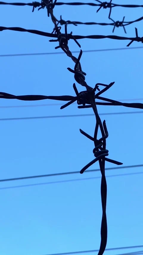 Barbed wire against the sky on a high fence Video stock 266689021