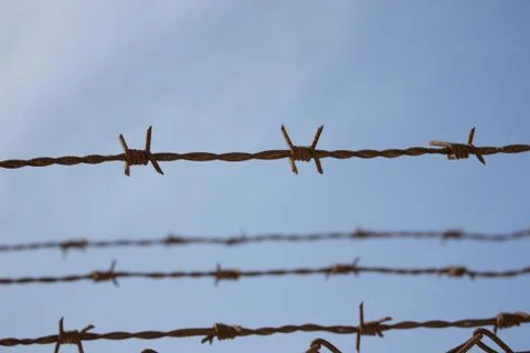 Barbed wire against the sky Stock Photos