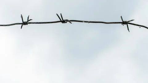 Barbed wire against the sky. A security fence on the territory of a prison or Stock Photos