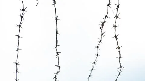 Barbed wire against the sky. A security fence on the territory of a prison or Stock Photos