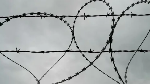 Barbed wire, also known as barb wire. Stock Footage 148678361