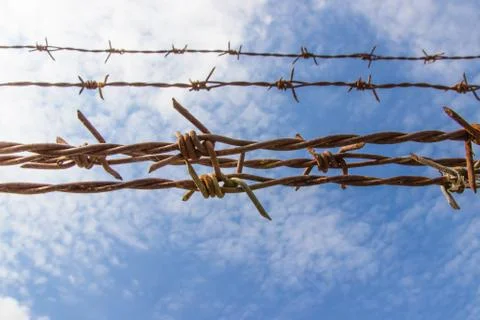 Barbed wire and blue sky Stock Photos