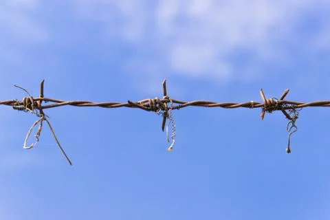 Barbed wire and blue sky Foto stock
