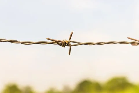 Barbed wire and blue sky Stock Photos