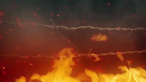 Barbed Wire And Fire - Protection, Firewall Concept Stock Footage 240144721
