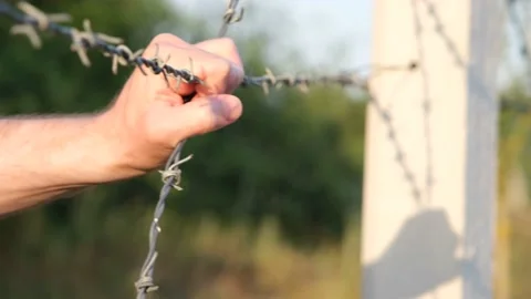 Barbed wire and hand Stock Footage 219288376