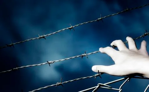 Barbed wire and a hand Stock Photos
