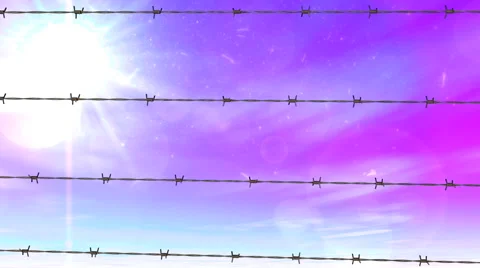 Barbed Wire and Positive Sky HD Stock Footage 41266958