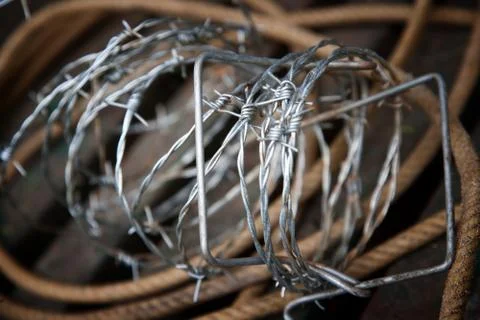 Barbed wire and rope Stock Photos