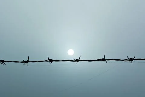Barbed wire and sun Stock Photos
