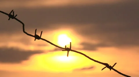 Barbed wire and sunset Stock Footage 30840437