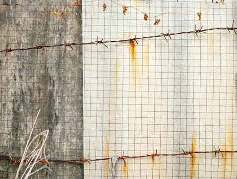 Barbed wire and wire mesh fence in front of old gray wall, security and bou.. Stock Photos
