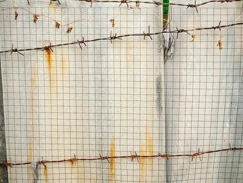 Barbed wire and wire mesh fence in front of old gray wall, security and bou.. Stock Photos