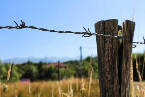 Barbed wire on apole in closeup Stock Photos