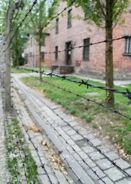 Barbed wire in Auschwitz concentration camp with blurred background. Poland Stock Photos