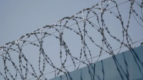 Barbed wire on the background the blue sky. Prison concept, rescue, refugee, Stock Footage 154462777