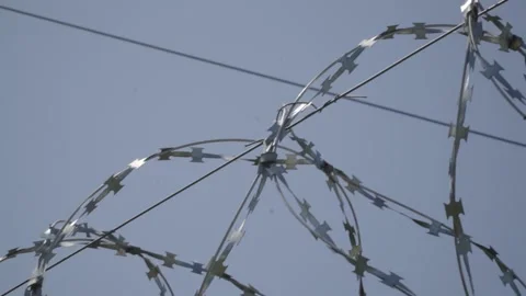 Barbed wire on the background the blue sky. Prison concept, rescue, refugee, Stock Footage 154462784