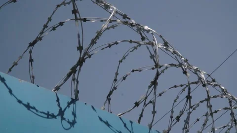 Barbed wire on the background the blue sky. Prison concept, rescue, refugee, Stock Footage 154462799