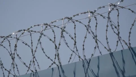 Barbed wire on the background the blue sky. Prison concept, rescue, refugee, Stock Footage 154462807