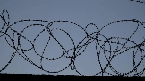 Barbed wire on the background the blue sky. Prison concept, rescue, refugee, Stock Footage 154462812