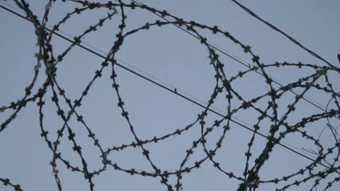 Barbed wire on the background the blue sky. Prison concept, rescue, refugee, Stock Footage 154462822