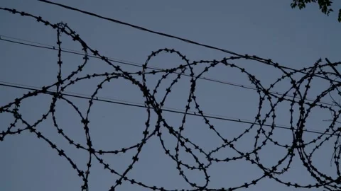 Barbed wire on the background the blue sky. Prison concept, rescue, refugee, Stock Footage 154462824