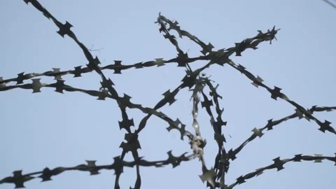 Barbed wire on the background the blue sky. Prison concept, rescue, refugee, Stock Footage 154463123
