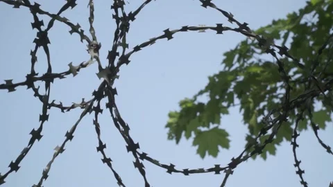 Barbed wire on the background the blue sky. Prison concept, rescue, refugee, Stock Footage 154463129
