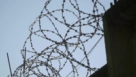 Barbed wire on the background the blue sky. Prison concept, rescue, refugee, Stock Footage 154463132