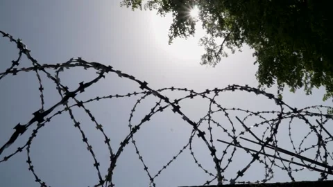 Barbed wire on the background the blue sky. Prison concept, rescue, refugee, Stock Footage 154463136