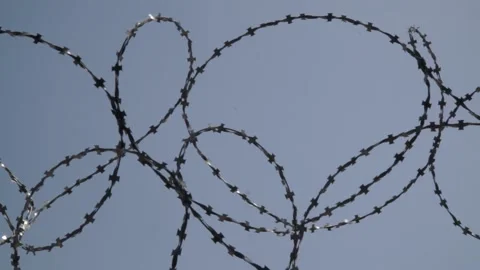 Barbed wire on the background the blue sky. Prison concept, rescue, refugee, Stock Footage 154463145