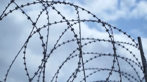 Barbed wire on the background the blue sky. Prison concept, rescue, refugee, Stock Footage 194409675