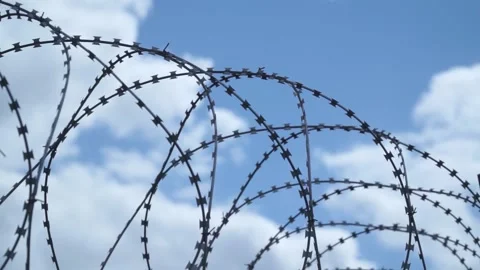 Barbed wire on the background the blue sky. Prison concept, rescue, refugee, Stock Footage 194409679