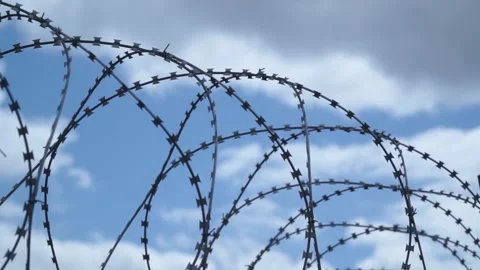 Barbed wire on the background the blue sky. Prison concept, rescue, refugee, Stock Footage 194409686