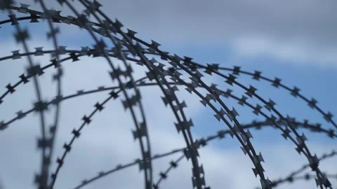 Barbed wire on the background the blue sky. Prison concept, rescue, refugee, Stock Footage 194409695