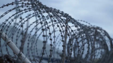Barbed wire on the background the blue sky. Prison concept, rescue, refugee, Stock Footage 194409698