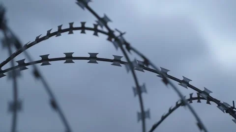 Barbed wire on the background the blue sky. Prison concept, rescue, refugee, Stock Footage 194409704