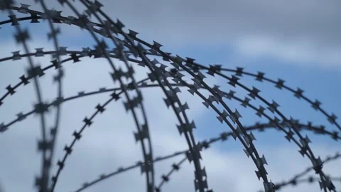 Barbed wire on the background the blue sky. Prison concept, rescue, refugee, Stock Footage 219788974