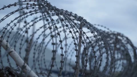 Barbed wire on the background the blue sky. Prison concept, rescue, refugee, Stock Footage 219789037