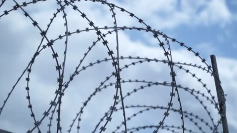Barbed wire on the background the blue sky. Prison concept, rescue, refugee, Stock Footage 219789149