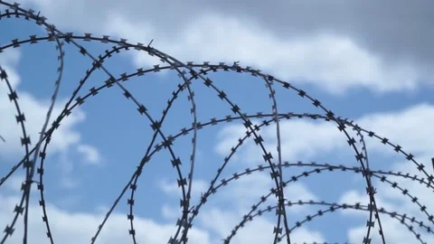 Barbed wire on the background the blue sky. Prison concept, rescue, refugee, Stock Footage 219789243