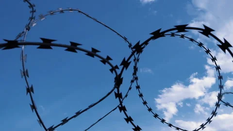 Barbed wire on background of blue sky. Lack of freedom concept, imprisonment Vidéo 248365882