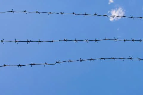 Barbed wire on background of blue sky and white clouds. Boundary of prison Stockfoto's