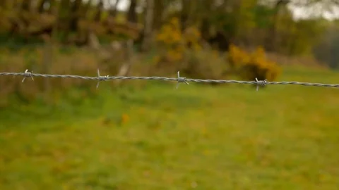 Barbed wire on the background of blurred field and forest Stock Footage 107602822